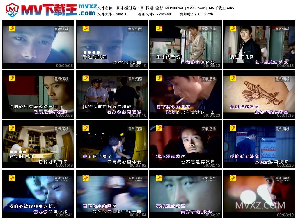 暴林-爱过这一回_国语_流行_MB103753